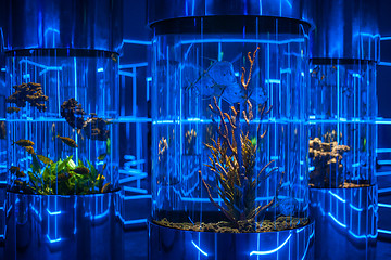 Image showing oceanarium interior photo