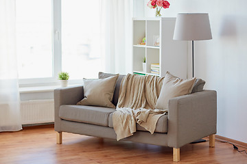 Image showing sofa with cushions at cozy home living room