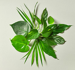 Image showing bouquet of tropical leaves