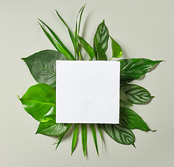 Image showing bouquet of tropical leaves