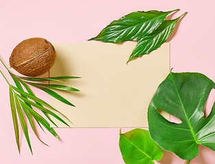 Image showing tropical leaves and coconut 