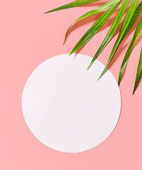 Image showing tropical leaves on pink background