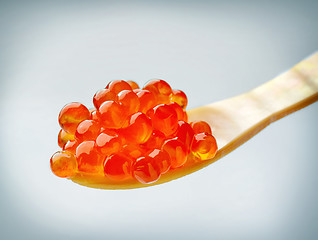 Image showing  Mother of pearl caviar spoon