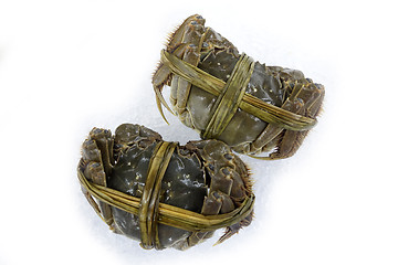 Image showing Raw shanghai hairy crab