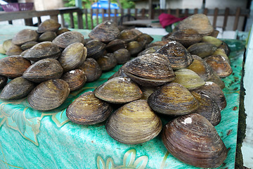 Image showing BBQ Clam at roadside stalls
