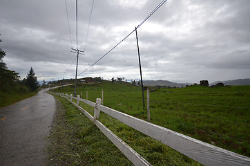 Image showing Cattle Farm in Kundasang Sabah