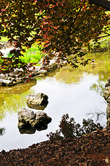 Image showing Pond in zen garden