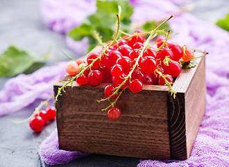 Image showing red currant