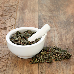 Image showing Lungwort Leaf Herb