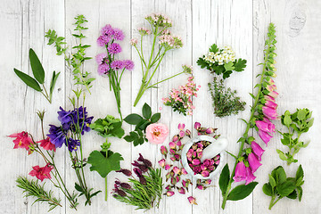 Image showing Herb and Flower Medicinal Selection