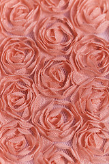 Image showing Peach-colored roses material