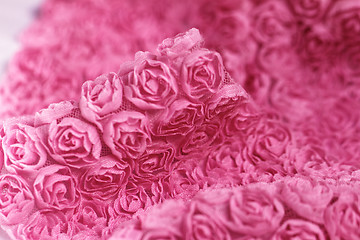 Image showing Pink rose background