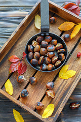 Image showing Delicious roasted chestnuts in a cast iron skillet.