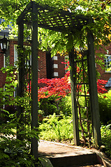 Image showing Front yard of a house