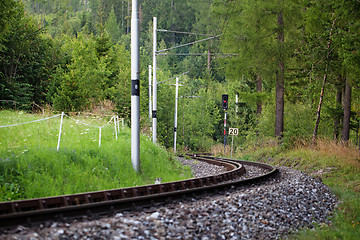 Image showing Scenic railway between the trees