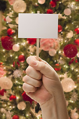 Image showing Hand Holding Blank Card In Front of Decorated Christmas Tree.