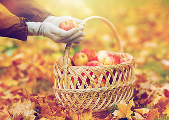 Image showing woman with basket of apples at autumn garden