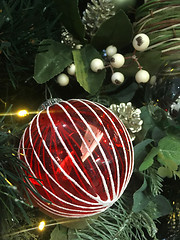 Image showing Red and white glass Christmas tree ornament bauble on a tree