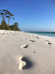 Image showing Footprints in wet sand on beach