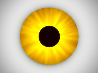 Image showing Yellow Eye