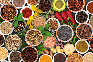 Image showing Fresh and Dried Herbs and Spices