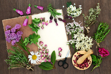 Image showing Herbal Medicine Preparation