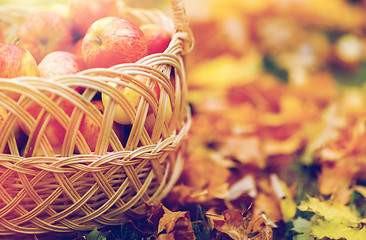 Image showing wicker basket of ripe red apples at autumn garden