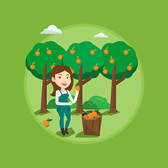 Image showing Farmer collecting oranges vector illustration.