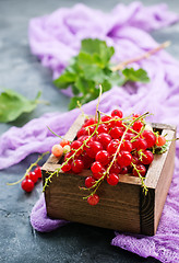 Image showing red currant