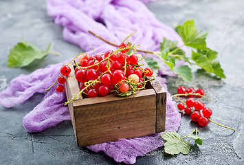 Image showing red currant