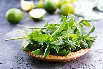 Image showing ingredients for mojito