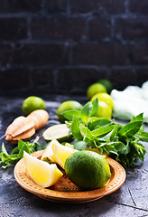 Image showing ingredients for mojito