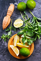 Image showing ingredients for mojito