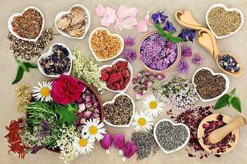 Image showing Medicinal Herbs and Flowers