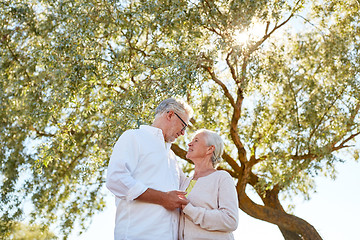 Image showing happy senior couple at summer park