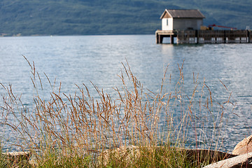 Image showing Norway fjord shore