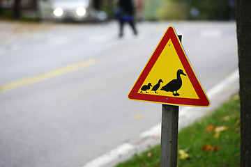 Image showing road sign, ducks passing the road
