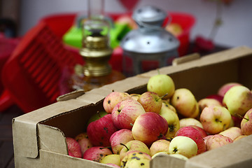 Image showing apple crop spread on the terrace