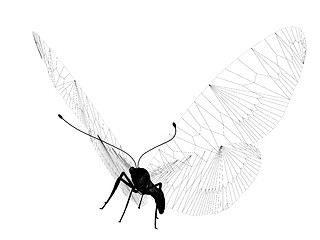 Image showing line butterfly. 3d illustration