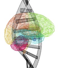 Image showing DNA and heart medical concept. 3d illustration