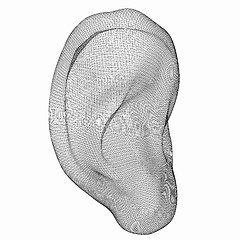 Image showing Ear digital model. 3d illustration