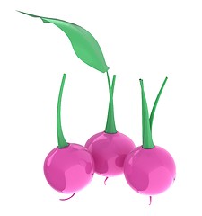 Image showing Small garden radish isolated on white background. 3d illustratio