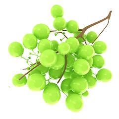 Image showing Healthy fruits Green wine grapes isolated white background. Bunc