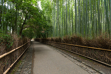 Image showing Bamboo forest in Arashiyama of Kyoto