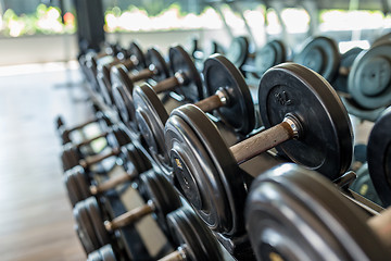 Image showing Dumbbell in gym