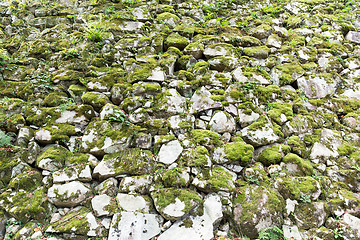 Image showing Moss on the rock wall