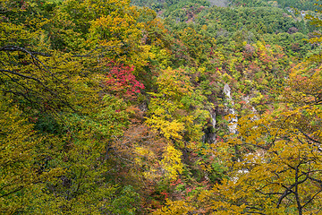 Image showing Naruko Gorge in autumn