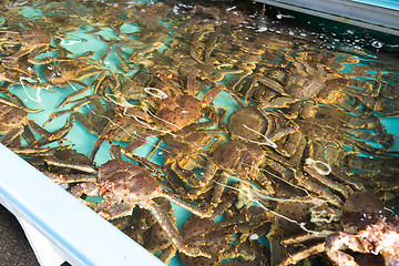 Image showing Fresh crab in fish market