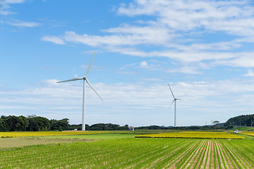 Image showing Wind turbine and field with sunny day