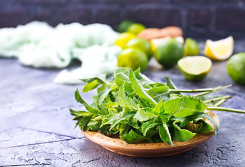 Image showing ingredients for mojito